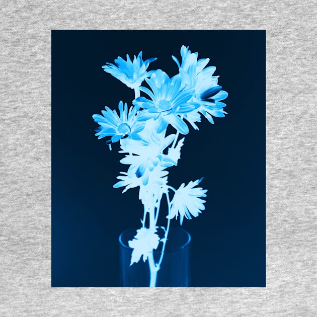 Cyanotype Art Printing Blue Flowers Daisy Photography by PodDesignShop